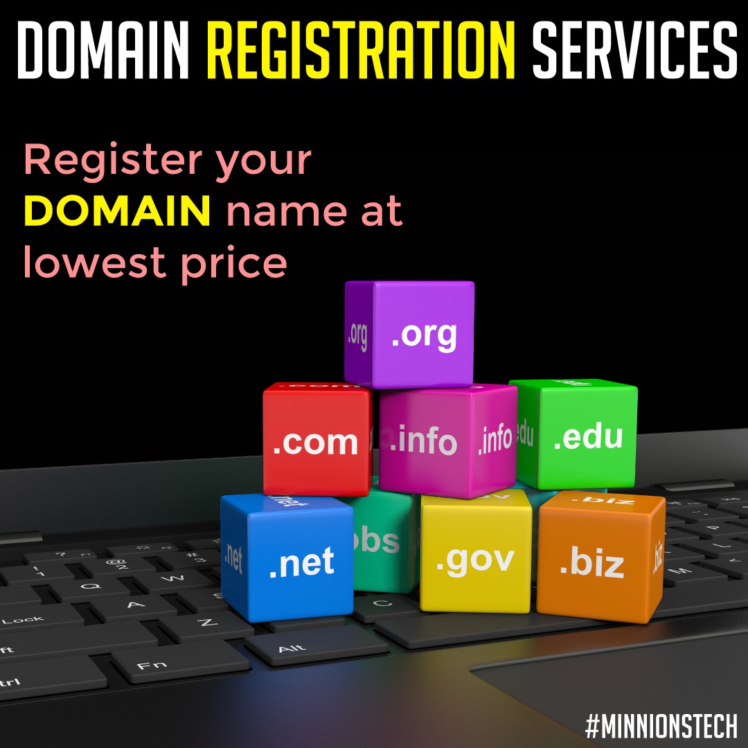 Domain Name Registration Minnionstech